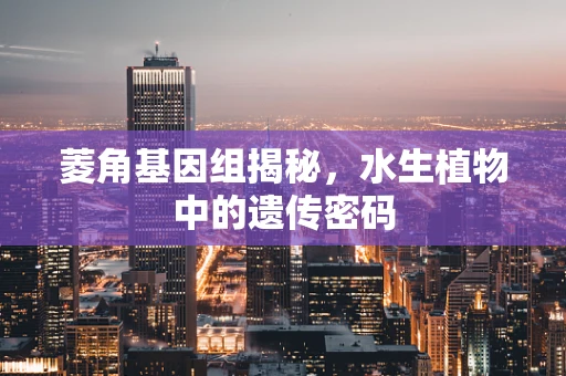 菱角基因组揭秘，水生植物中的遗传密码