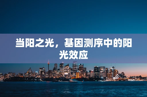 当阳之光，基因测序中的阳光效应
