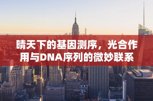 晴天下的基因测序，光合作用与DNA序列的微妙联系？