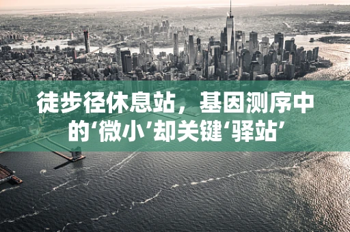 徒步径休息站，基因测序中的‘微小’却关键‘驿站’