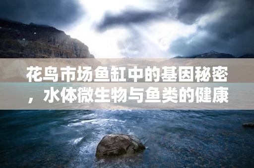 花鸟市场鱼缸中的基因秘密，水体微生物与鱼类的健康关系