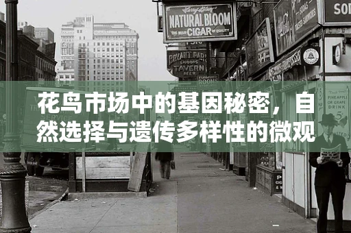 花鸟市场中的基因秘密，自然选择与遗传多样性的微观视角