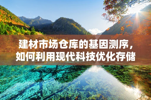 建材市场仓库的基因测序，如何利用现代科技优化存储管理？