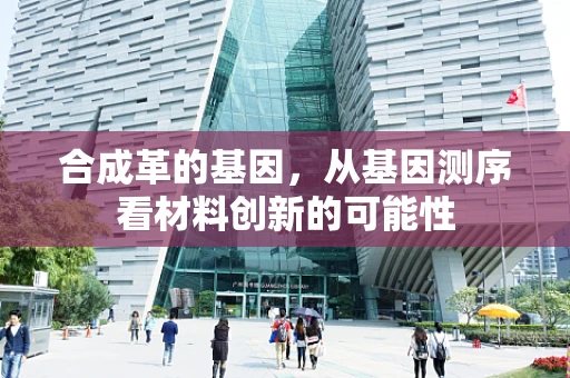 合成革的基因，从基因测序看材料创新的可能性