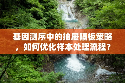 基因测序中的抽屉隔板策略，如何优化样本处理流程？