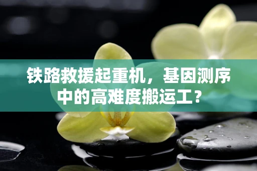 铁路救援起重机，基因测序中的高难度搬运工？