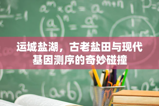 运城盐湖，古老盐田与现代基因测序的奇妙碰撞