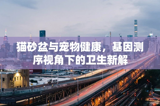猫砂盆与宠物健康，基因测序视角下的卫生新解