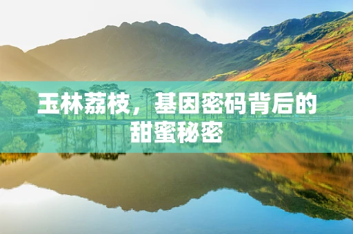 玉林荔枝，基因密码背后的甜蜜秘密