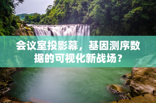 会议室投影幕，基因测序数据的可视化新战场？