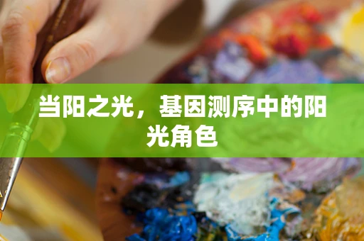 当阳之光，基因测序中的阳光角色