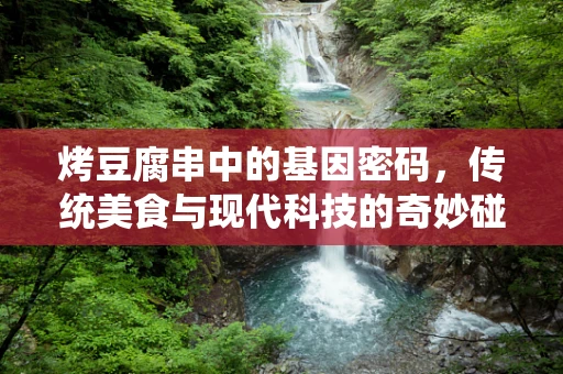 烤豆腐串中的基因密码，传统美食与现代科技的奇妙碰撞
