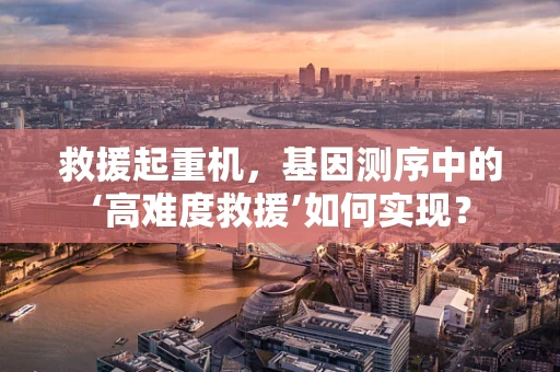救援起重机，基因测序中的‘高难度救援’如何实现？