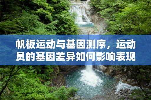 帆板运动与基因测序，运动员的基因差异如何影响表现？