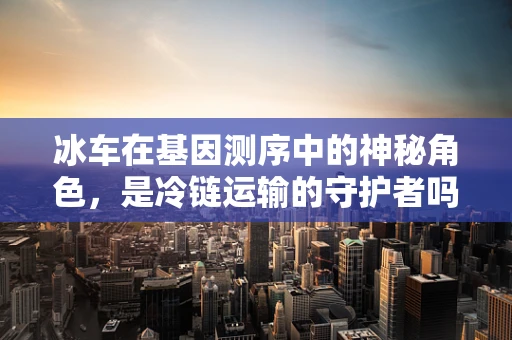 冰车在基因测序中的神秘角色，是冷链运输的守护者吗？