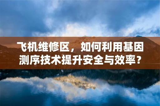 飞机维修区，如何利用基因测序技术提升安全与效率？