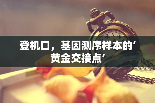 登机口，基因测序样本的‘黄金交接点’