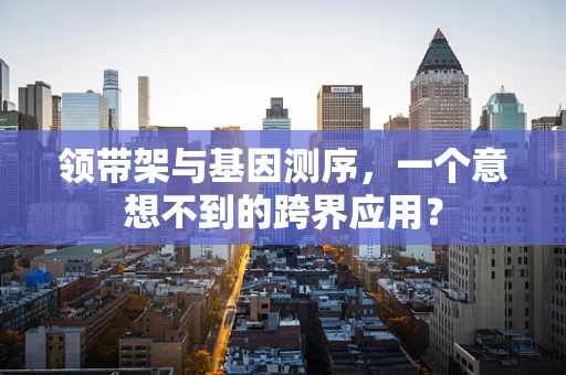 领带架与基因测序，一个意想不到的跨界应用？