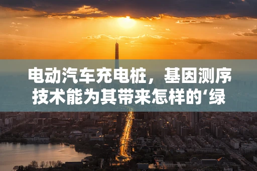 电动汽车充电桩，基因测序技术能为其带来怎样的‘绿色’革新？