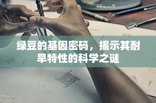 绿豆的基因密码，揭示其耐旱特性的科学之谜