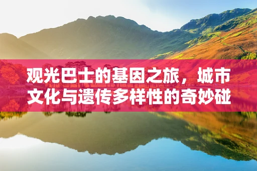 观光巴士的基因之旅，城市文化与遗传多样性的奇妙碰撞