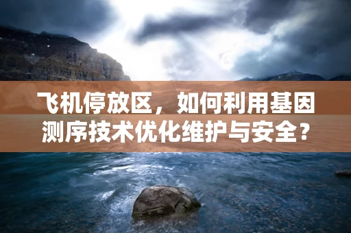 飞机停放区，如何利用基因测序技术优化维护与安全？