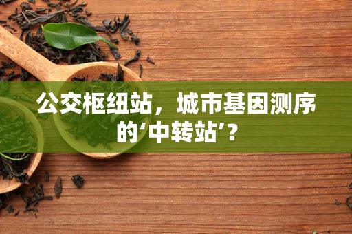 公交枢纽站，城市基因测序的‘中转站’？