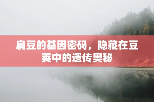 扁豆的基因密码，隐藏在豆荚中的遗传奥秘