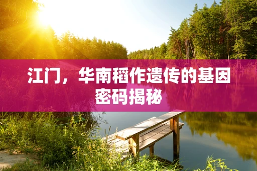 江门，华南稻作遗传的基因密码揭秘
