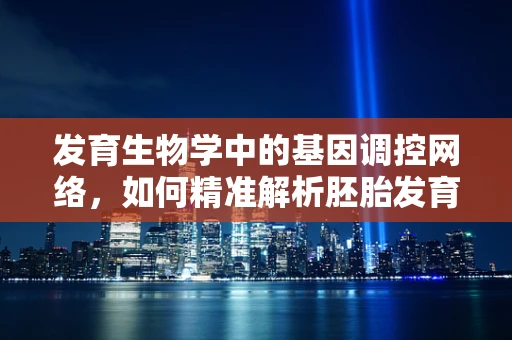 发育生物学中的基因调控网络，如何精准解析胚胎发育的‘编程’？
