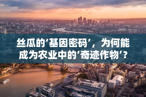 丝瓜的‘基因密码’，为何能成为农业中的‘奇迹作物’？