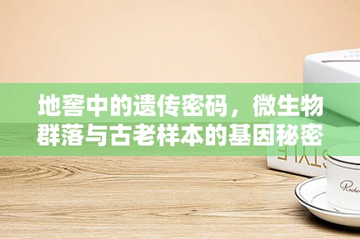地窖中的遗传密码，微生物群落与古老样本的基因秘密