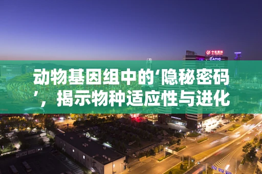 动物基因组中的‘隐秘密码’，揭示物种适应性与进化的关键