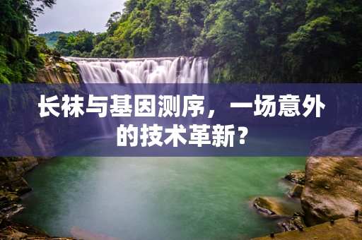 长袜与基因测序，一场意外的技术革新？