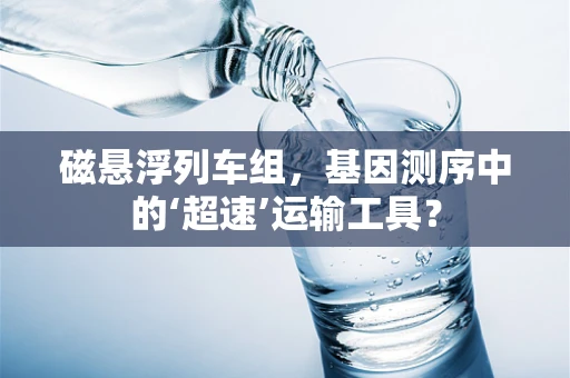 磁悬浮列车组，基因测序中的‘超速’运输工具？