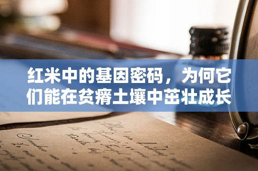 红米中的基因密码，为何它们能在贫瘠土壤中茁壮成长？