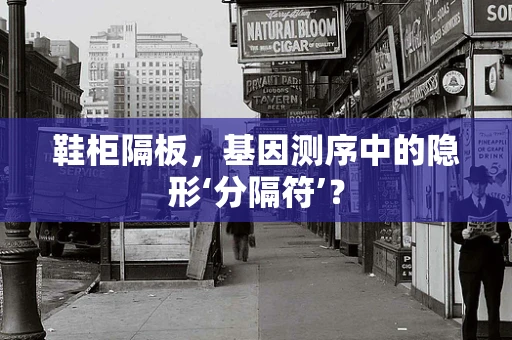 鞋柜隔板，基因测序中的隐形‘分隔符’？