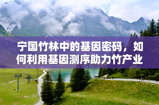 宁国竹林中的基因密码，如何利用基因测序助力竹产业可持续发展？