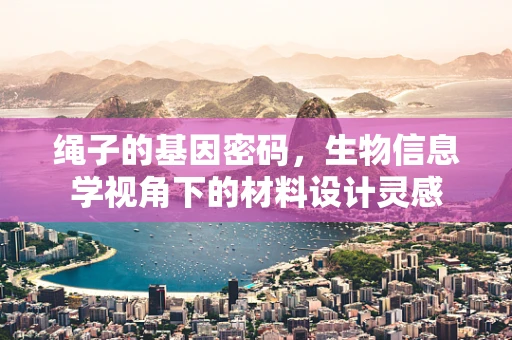 绳子的基因密码，生物信息学视角下的材料设计灵感