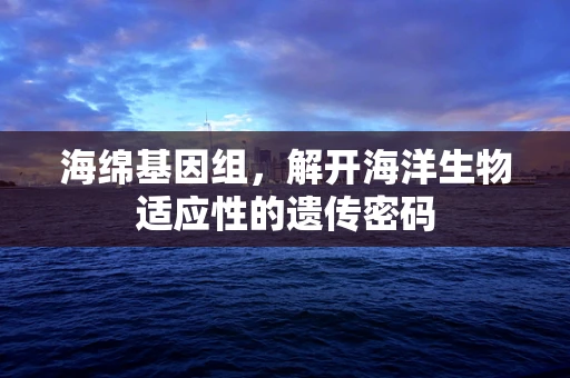 海绵基因组，解开海洋生物适应性的遗传密码