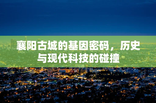 襄阳古城的基因密码，历史与现代科技的碰撞