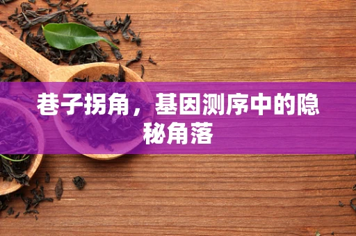 巷子拐角，基因测序中的隐秘角落