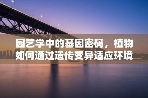 园艺学中的基因密码，植物如何通过遗传变异适应环境变化？