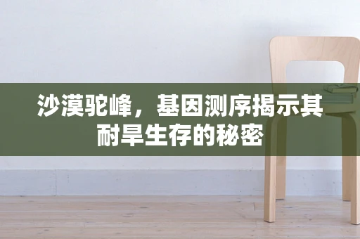 沙漠驼峰，基因测序揭示其耐旱生存的秘密