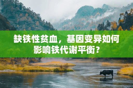 缺铁性贫血，基因变异如何影响铁代谢平衡？