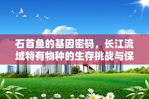 石首鱼的基因密码，长江流域特有物种的生存挑战与保护之路？