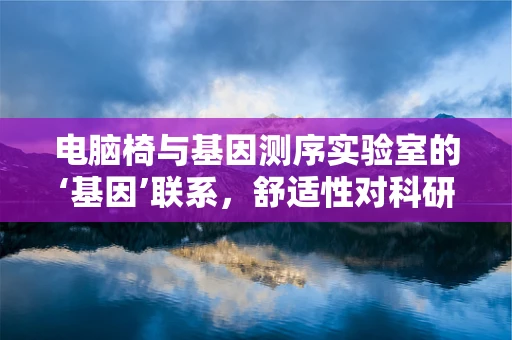 电脑椅与基因测序实验室的‘基因’联系，舒适性对科研人员的影响