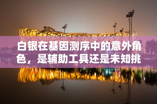 白银在基因测序中的意外角色，是辅助工具还是未知挑战？