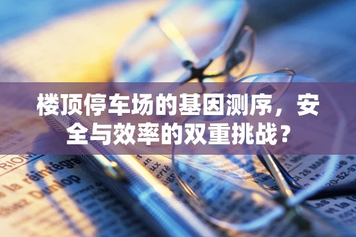 楼顶停车场的基因测序，安全与效率的双重挑战？