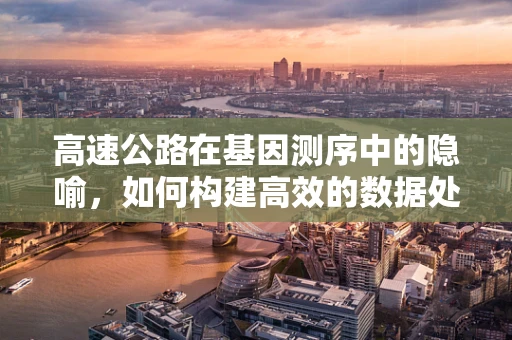 高速公路在基因测序中的隐喻，如何构建高效的数据处理车道？